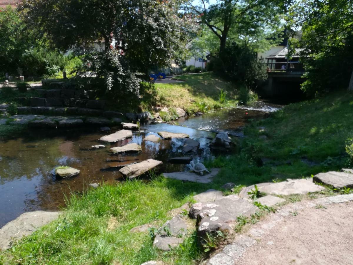 Am Sommerberg Unterkirnach Eksteriør bilde